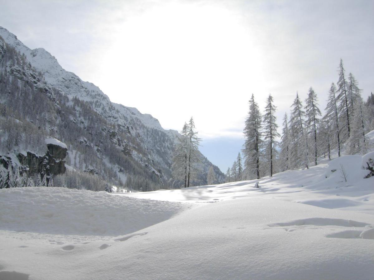 Residence Oberteil Gressoney-la-Trinité Екстериор снимка